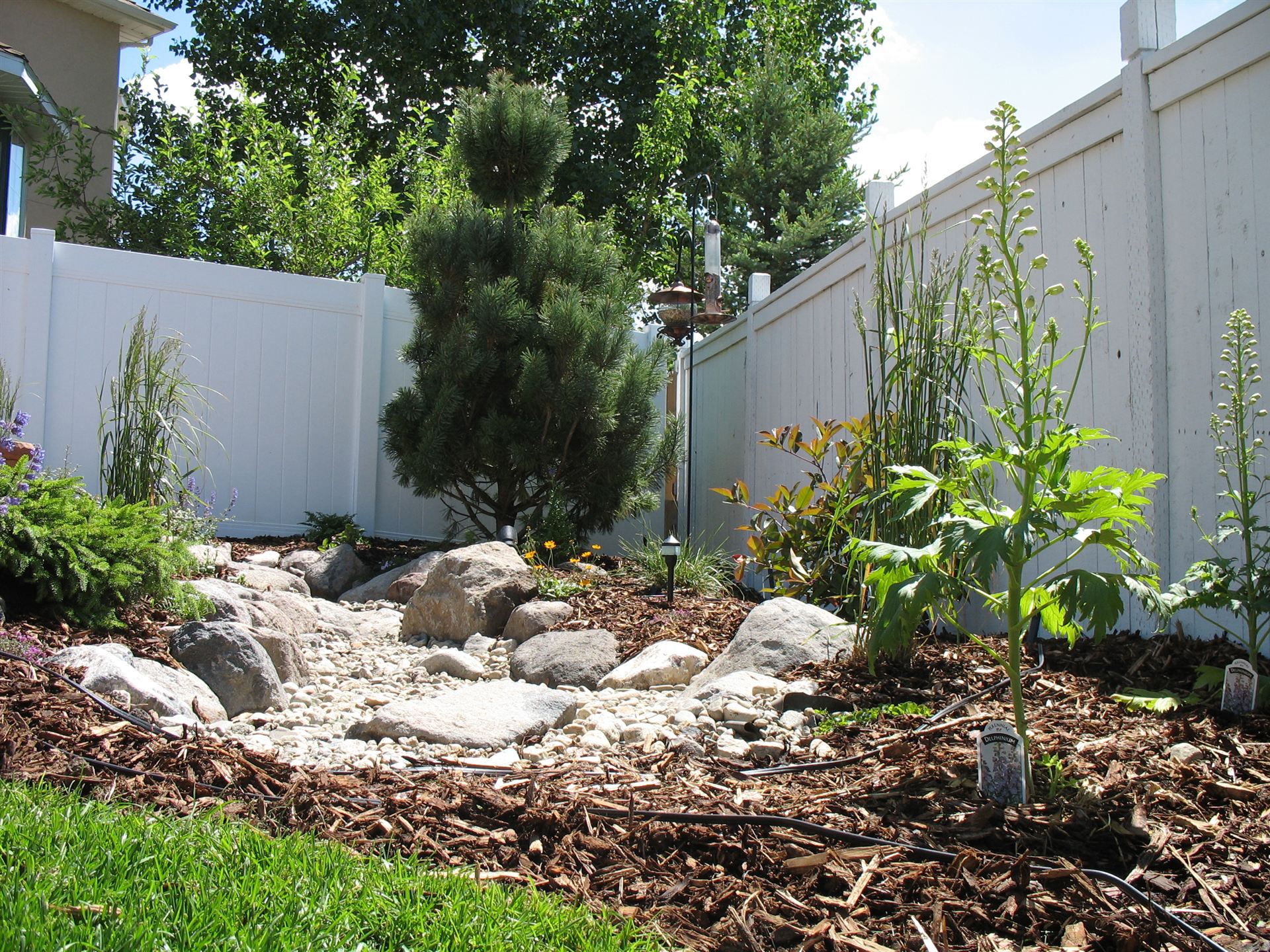 Dry creek bed rock feature bordered by mature plantings