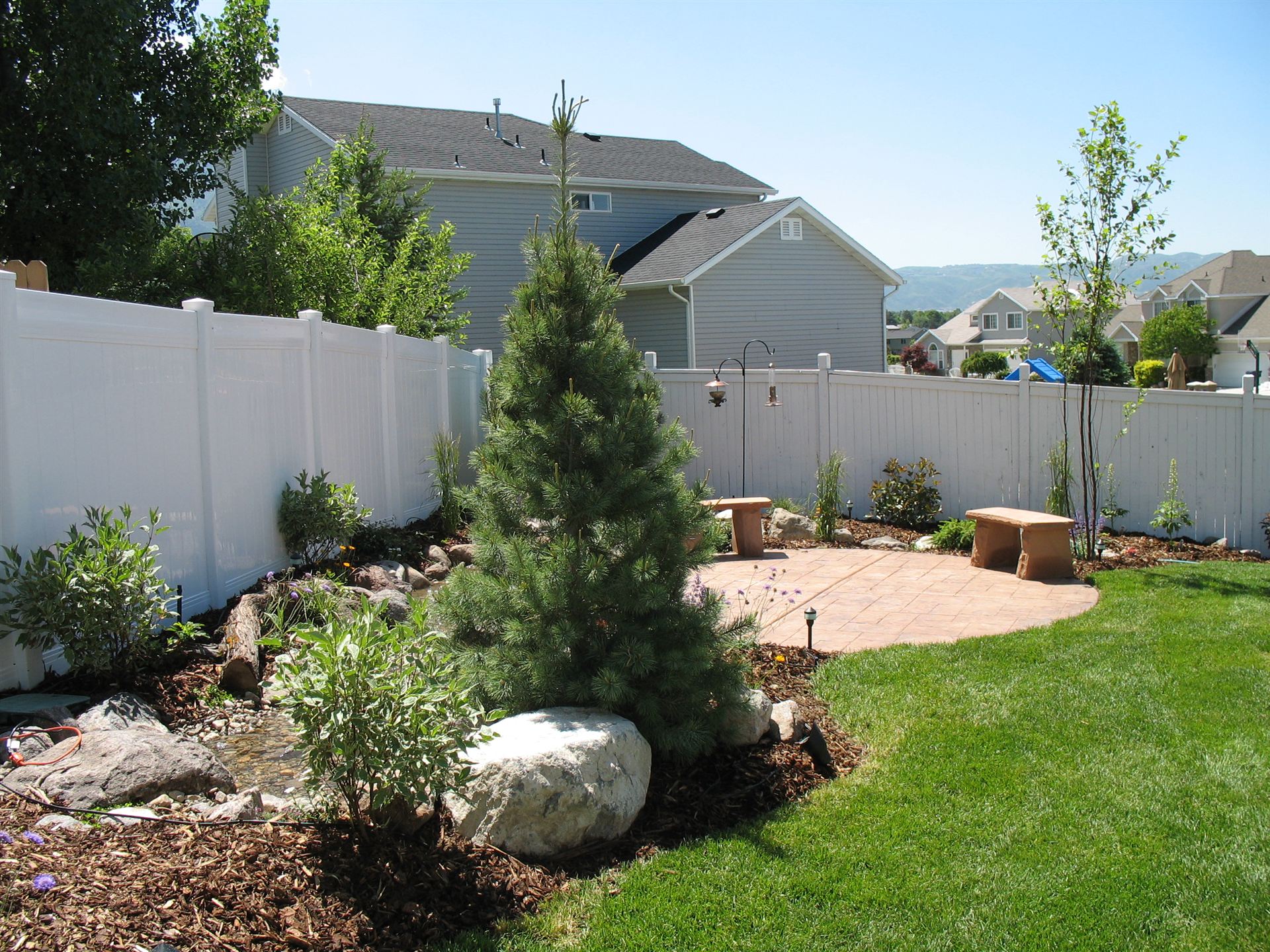 Paver patio with stone benches beside a young pine tree
